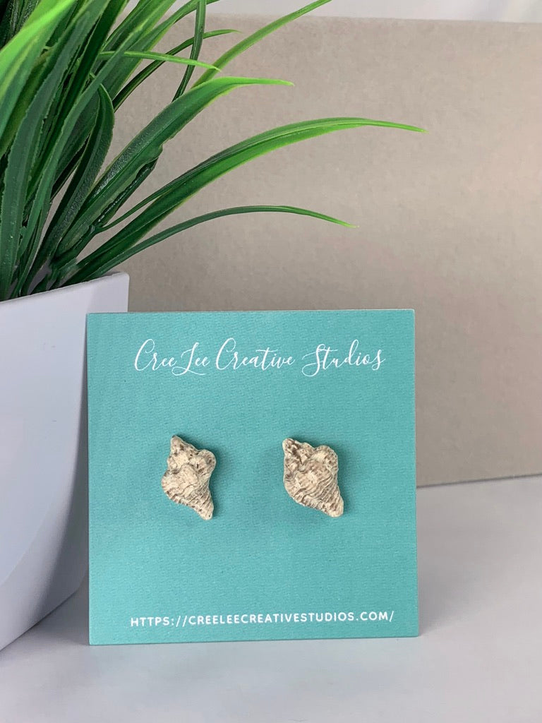 Sandy Seashell Studs - Realistic looking seashells