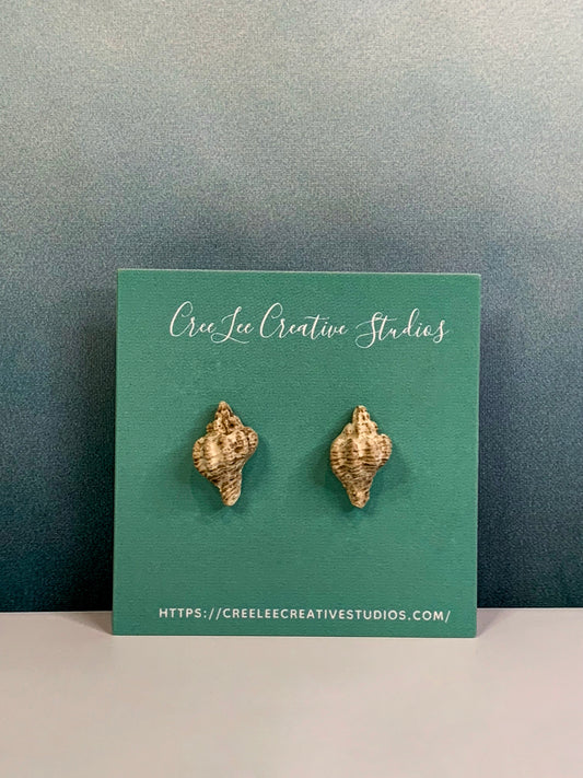 "New" Beachy Vibes - Sandy Seashell Studs - Realistic looking seashells